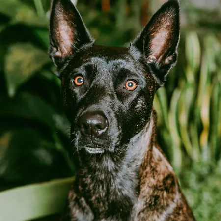 Hotel Kerii - Adults Boutique *